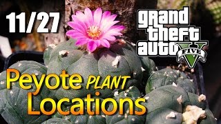 GTA 5  Play as a CHICKEN  Other Birds  How To Peyote Location 1 GTA V Xbox One Gameplay [upl. by Mikah]