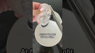 Cutting open a maltose stress ball satisfying asmr relax [upl. by Hagile688]