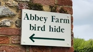 Abbey Farm bird hide Flitcham North Norfolk is the rumour true  king birds wildlife [upl. by Sira]