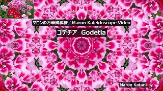 マロンの万華鏡模様／Maron Kaleidoscope Videoゴデチア Godetia [upl. by Hale]