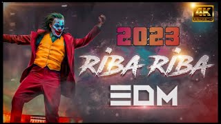 RIBA RIBA  3O EDM Hard DANCE MUSIC 2023 DJ Mix [upl. by Rainah]