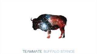 TeamMate  Buffalo Stance Neneh Cherry Cover [upl. by Leopold674]