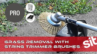 Remove Grass from asphalt  PRO String Trimmer Brushes  SITBRUSH [upl. by Donnie716]