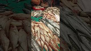 Thanjavur Fish Market [upl. by Obellia328]