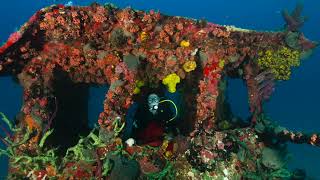 St Eustatius takes first place in Wreck Diving [upl. by Nnyrat]