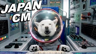 JAPANESE COMMERCIALS 2023  Special Softbank dog Midnight Sumo  ENG SUB [upl. by Asante]