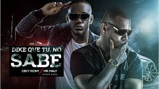 Ceky Viciny Ft Mr Maly  Dike Que Tu No Sabe  Dembow Dominicano 2017 [upl. by Iblok]