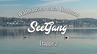 Premiumwanderweg SeeGang Etappe 2  Wallhausen über den Bodanrück nach Bodman  Wandern am Bodensee [upl. by Adnyc586]