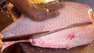 I Never Seen Giant Rohu Fish Cutting Live In Fish Market  Fish Cutting Skills [upl. by Guerin]