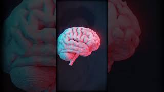 🤯7 DATOS IMPRESIONANTES DEL CEREBRO HUMANO 🧠 curiosidades [upl. by Kylstra25]