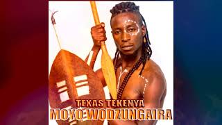 Texas Tekenya Moyo Wodzungaira Official Audio 2021 [upl. by Fineman]