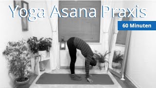 Dein Anti Stress Programm Folge 43  Yoga Asana Praxis für alle Level auch für Anfänger [upl. by Assilim231]