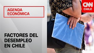 Tasa de desempleo en Chile alcanza el 87  Agenda Económica [upl. by Zita]