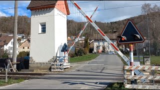 Bahnübergang Leimbach AG CH  Swiss Railroad Crossing [upl. by Melac]