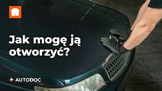 Co zrobić gdy maska Twojego samochodu nie chce się otworzyć  Wskazówki od AUTODOC [upl. by Anizor]