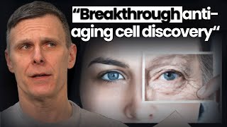 CAR T Cells The Ultimate AntiAging Solution  16  Longevity This Week 2 [upl. by Ahtanaram]