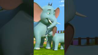 Zoo Song Were Going to the Zoo हम जा रहे हैं चिड़ियाघर shorts hindirhymes animals shortsvideo [upl. by Bainter]