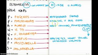 OSTEOMYELITIS  Easy Memorize Technique [upl. by Miriam952]