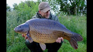 CARP fishing in the weed [upl. by Mohandis]