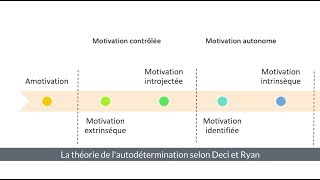 La théorie de lautodétermination dans le monde du travail [upl. by Olin]