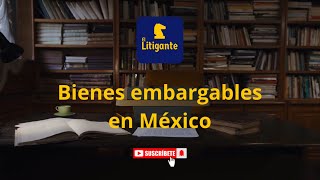 Embargos Bienes embargables en México [upl. by Neelyad301]