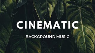 Energetic Rock 30 sec  RoyaltyFree Background Music  Cinematic [upl. by Aiekahs]