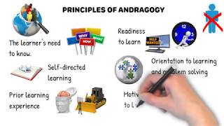 Principles of Andragogy [upl. by Verile]