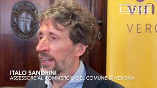 Presentato in Sala Arazzi Vinitaly and the City 2024 [upl. by Yaakov]