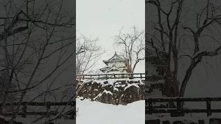 日本環島旅行｜百大名城｜青森縣Aomori｜弘前城 Hirosaki Castle ｜現存12天守閣｜Travelling in Japan｜日本旅遊 [upl. by Helsell]