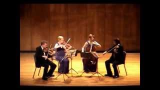 Shostakovich String Quartet No 9 performed by the Ars Nova String Quartet [upl. by Enileuqcaj480]