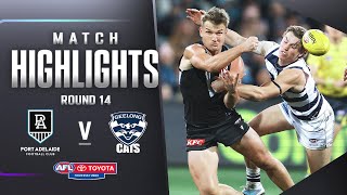 Port Adelaide v Geelong Cats Highlights  Round 14 2023  AFL [upl. by Zigrang]