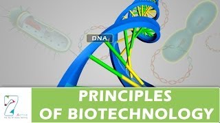 PRINCIPLES OF BIOTECHNOLOGY [upl. by Sully]