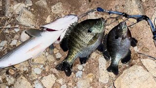 Quail lake pesca de bluegill [upl. by Paul255]