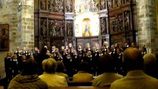 Wolfratshausen Childrens Choir in Portu [upl. by Manly903]