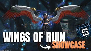 ✨ WINGS OF RUIN EX1 SHOWCASE ✨ Final Fantasy XIV [upl. by Bremser]