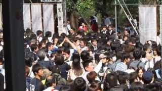 20130310 東大 入試合格発表 その１ [upl. by Wittie]