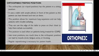 TRIPOD POSITION LECTURE 7 [upl. by Klarrisa]