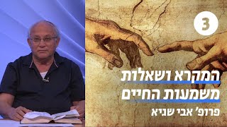 המקרא ושאלות משמעות החיים  שעור 3  הדרמה של התשובה יונה ואתגר החטא האונטולוגי  פרופ אבי שגיא [upl. by Haikezeh]