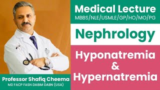 Hyponatremia amp Hypernatremia  Disorders of Water Metabolism  Professor Shafiq Cheema [upl. by Ahsatak]