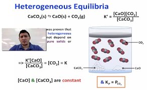 Chemical Equilibrium  Kp amp Heterogeneous Equilibria [upl. by Ettevad444]