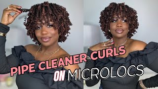 Pipe Cleaner Curls on DIY Microlocs  4 Year Locaversary  Kendra Kenshay I [upl. by Otter350]