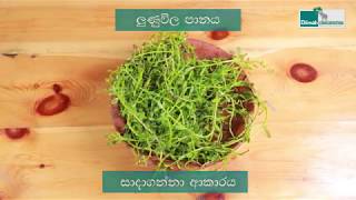 Home Remedies for Constipation Sinhala [upl. by Dnyletak]