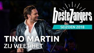 Tino Martin  Zij weet het  Beste Zangers 2018 [upl. by Noraf]