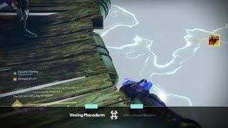 Destiny 2SuperRareFishCaught [upl. by Maribelle]