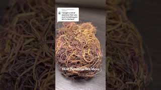 We offer REAL Honduras Sea Moss [upl. by Miche]