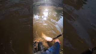 Cat fishing 🎣shorts fishing fishtrend trending views [upl. by Petras142]