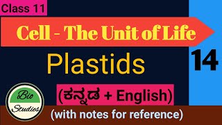 Class 11  Cell  The Unit of Life  14  Plastids [upl. by Annawyt]