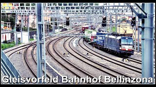 Morgendliche Zugsichtungen beim Gleisvorfeld des Bahnhof Bellinzona  Kanton Tessin  Schweiz 2023 [upl. by Atnom817]