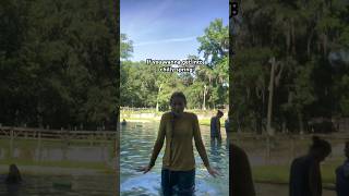 Acclimatize travel summer swimming lake acclimatize [upl. by Tullusus]