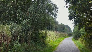 240905 Torsdag 1 Naturens Uge i Kolding 2 GåMarathon 3 Sensommer og efterår på Godset [upl. by Godber]